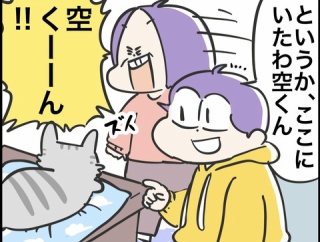 迷い猫がやってきた　④ 猫ってやっぱりそうなのね