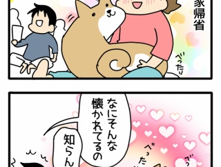 正月に浮気を疑われる猫飼い