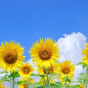 今年の夏は「稼ぐ」と「楽しむ」を両立♪
