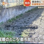 2chコピペ保存道場