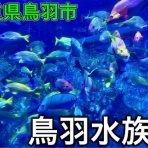 おかぴーの三重県は最高やに