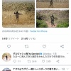 ダルビッシュ「たまーに来る誹謗中傷をスルーしただけで対処法わかってますって感じの人へ」