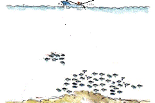スモールボート釣りクイズ 絵浜sbfp