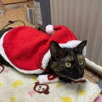 はるだ動物病院