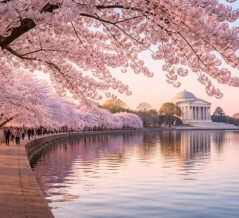 「これは日本ではなくワシントンDCだ」解釈違いの各国の風景を眺めるスレ