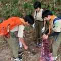 ＢＳ隊　古城公園清掃奉仕
