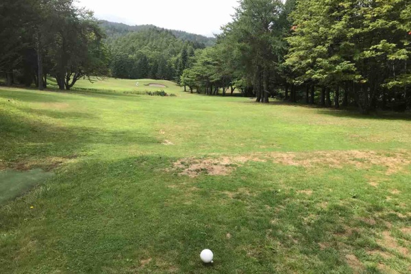 私の札幌転勤作戦 21年10月