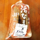 『国東の食環境（464）赤ナマコ』の画像