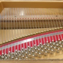 西条市・ディアパーソン183Eの張弦を始めました。