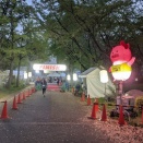 第17回水都大阪100kmウルトラマラニック速報（R8.4.19)