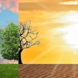 『前門の虎後門の狼：大気汚染を減らすと地球温暖化が悪化する』の画像