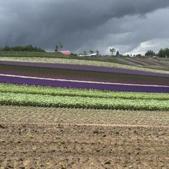 北海道の旅③
