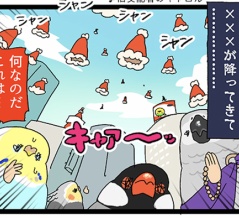 【羽やすめ漫画】ある日空から