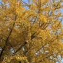 再起動の時期を逃すと起きること。