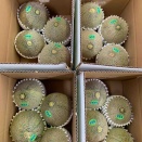 7/7（火）営業します