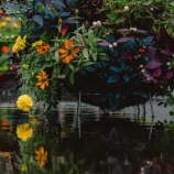 『家族離散と孤独死』の画像