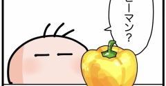 ぽんちゃんパプリカを覚える