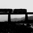 絶景お立ち台 DF50牽引 寝台特急富士 シルエット 日豊本線 田野 1970年8月