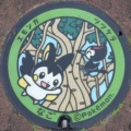 名護市のマンホールの蓋