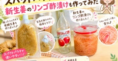 【発酵生姜】スパウトパウチで手作り！新生姜のリンゴ酢漬けも作ってみた