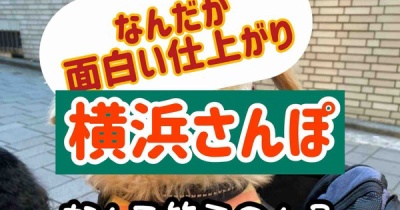 横浜散歩。がんばれモコ。今年の主役はオマエだ！
