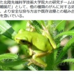  ニューうえいぶらぼ