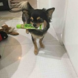 『返しておくれ…』の画像