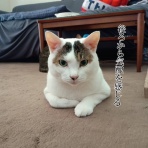 moroのハンドメイド