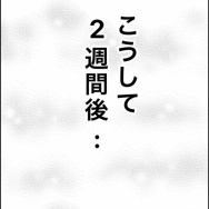 義父が連れてきたとんでもない女【56】