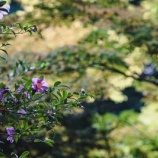 『カードを不正利用される(3)』の画像