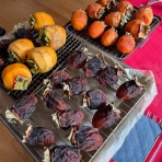 カリフォルニアのばあさんブログ