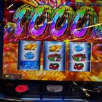 スロッピキ