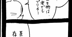 赤ちゃん自認ねこ11