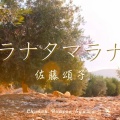 マラナタマラナタ