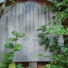 『『京都歴史探訪⭐小野小町』』の画像
