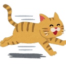 【うらやましい】猫に懐かれすぎて、とうとう猫カフェから出禁をくらってしまった…