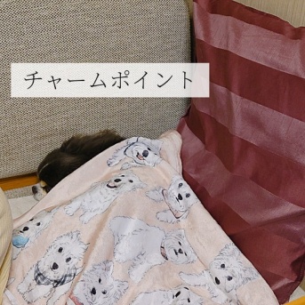まりぴ