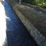 『'2012紅葉狩り🍁【京都】③ランチは豆腐丼御膳【通りゃんせ】@蹴上』の画像