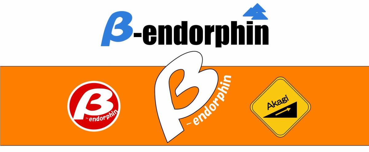 TEAM β-endorphin イメージ画像