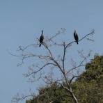 ひぃちゃんとゆきちゃんのうきうき山歩き
