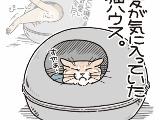 劇的ビフォーアフター