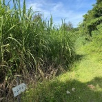 ☆★貝碧月夜★☆ sherulean moon night