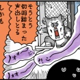 予告してくれてた猫