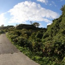 脇本城（秋田県）③初詣