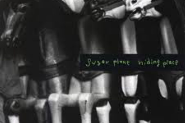 sugar plant official - February 1995