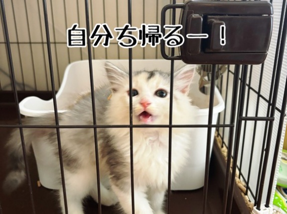 強化トレーニング合宿