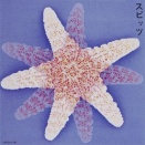 [No.0017] スピッツ - スピッツ