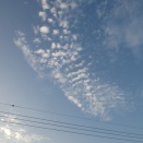 「八月もあと一週間」