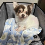 幸せになろうね♪