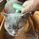 事実でした・・・泣
